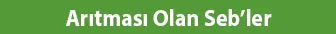 Arıtması Olan Seb’ler