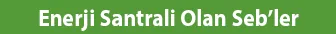 Enerji Santrali Olan Seb’ler