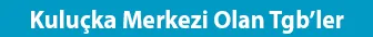 Kulucka Merkezi Olan Tgb'ler